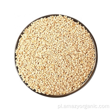 Organiczne białe nasiona komosy ryżowej